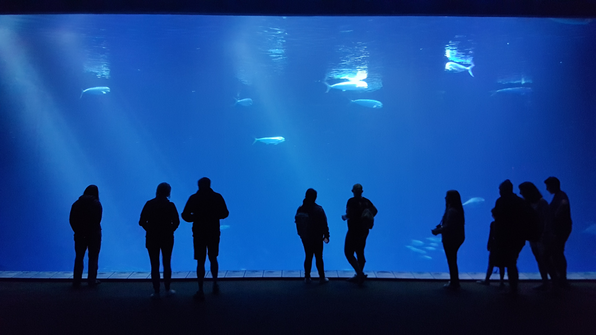 20180918_125808