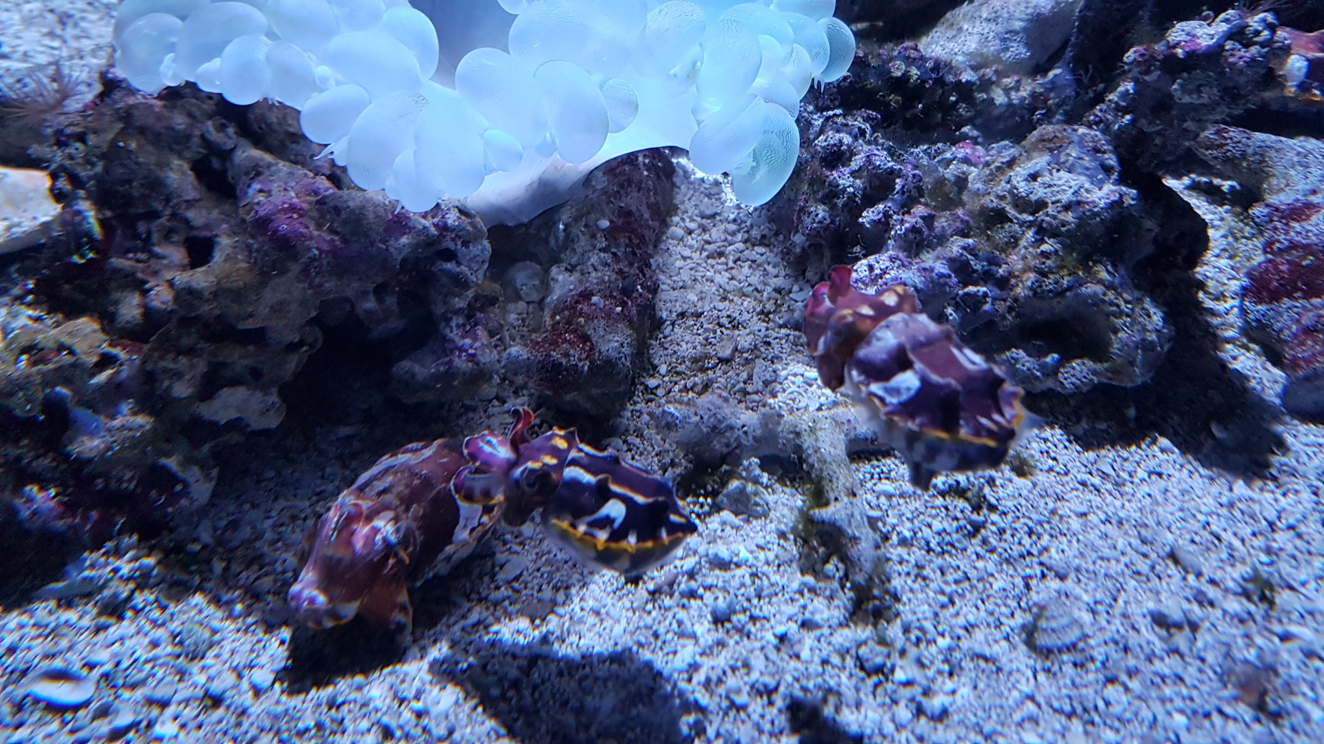 20180918_133809