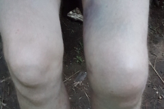 20180805_202835