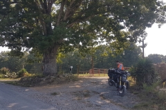 20180814_100546