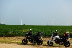 20180821_101532 DSC00541