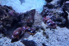 20180918_133809